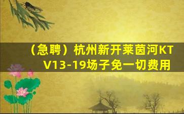 中卫酒吧招聘